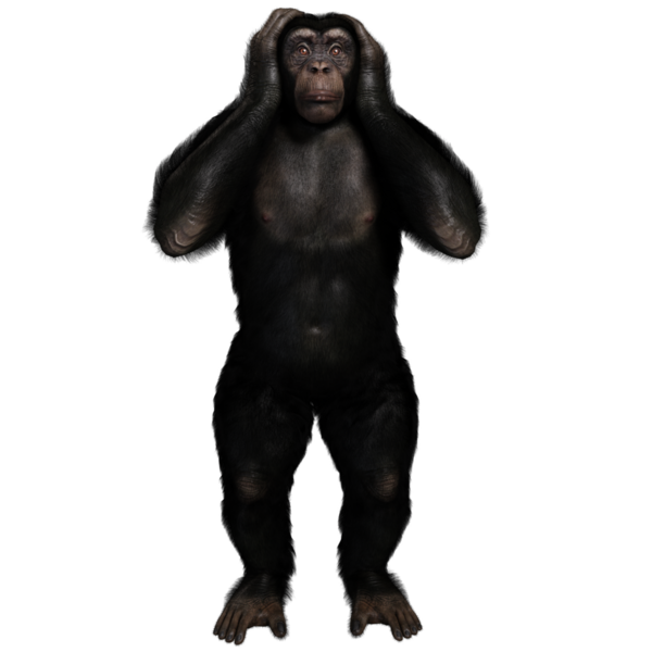 3 boyutlu, şeffaf bir arkaplanda izole edilmiş sevimli bir şempanzenin çizimi.