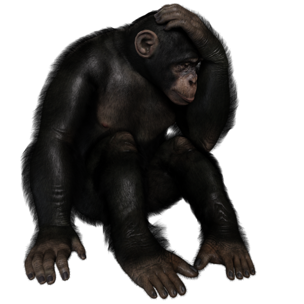3 boyutlu, şeffaf bir arkaplanda izole edilmiş sevimli bir şempanzenin çizimi.