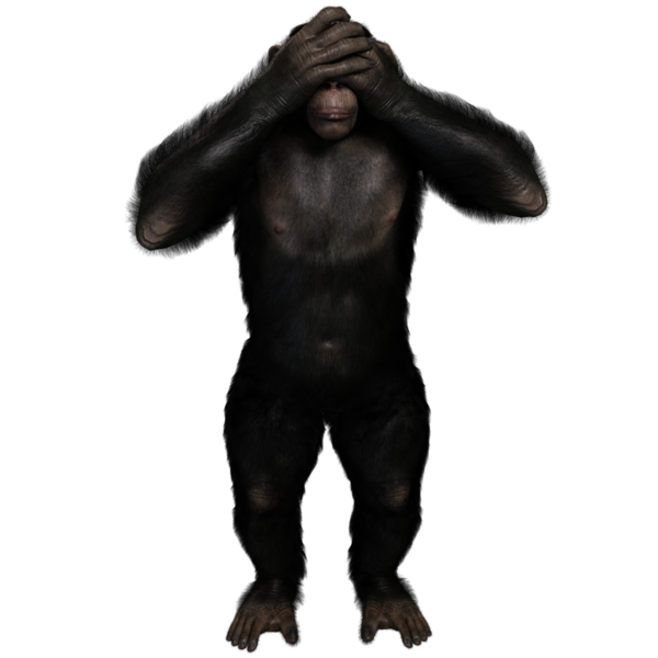 3 boyutlu, şeffaf bir arkaplanda izole edilmiş sevimli bir şempanzenin çizimi.