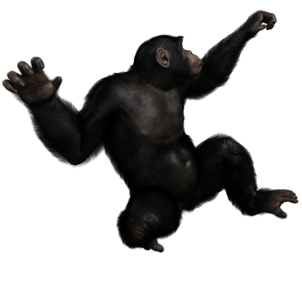 3 boyutlu, şeffaf bir arkaplanda izole edilmiş sevimli bir şempanzenin çizimi.