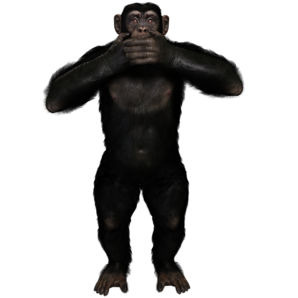 3 boyutlu, şeffaf bir arkaplanda izole edilmiş sevimli bir şempanzenin çizimi.