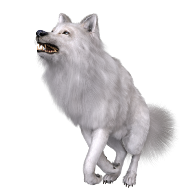 Saydam arkaplanda 3 boyutlu izole edilmiş beyaz fantezi kurt.