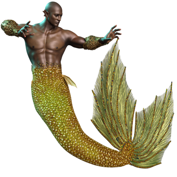 Arkaplanda izole edilmiş altın renkli yanardöner kuyruklu erkek Afrikalı denizadamı. 