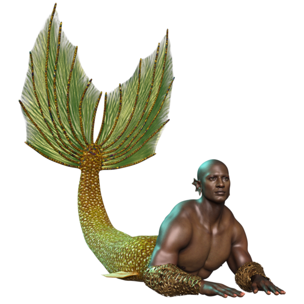 Arkaplanda izole edilmiş altın renkli yanardöner kuyruklu erkek Afrikalı denizadamı. 