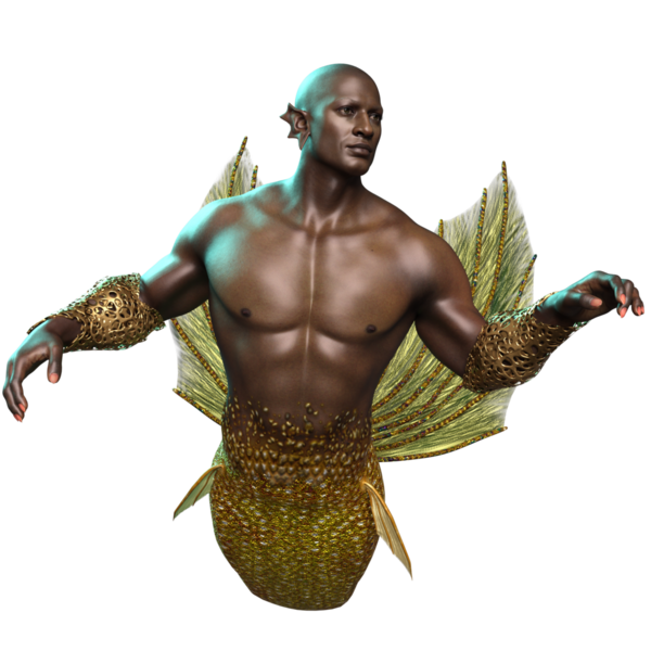 Arkaplanda izole edilmiş altın renkli yanardöner kuyruklu erkek Afrikalı denizadamı. 