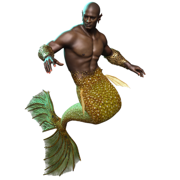 Arkaplanda izole edilmiş altın renkli yanardöner kuyruklu erkek Afrikalı denizadamı. 