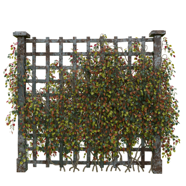 3 boyutlu ahşap bahçe çiti ve şeffaf arka planda izole edilmiş bitkiler.