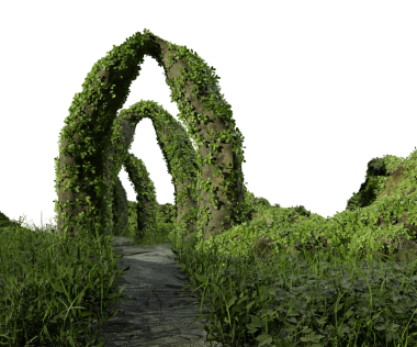 Saydam arkaplanda izole edilmiş 3D aşırı büyümüş fantezi kalıntıları