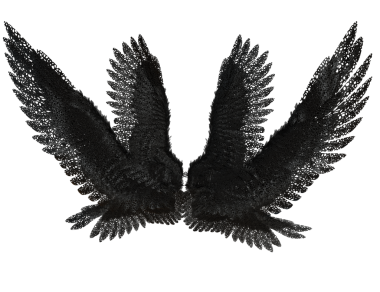 Şeffaf arka planda izole siyah dantel tüyleri içeren 3 boyutlu melek kanadı