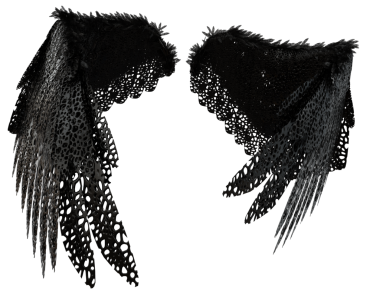 Şeffaf arka planda izole siyah dantel tüyleri içeren 3 boyutlu melek kanadı