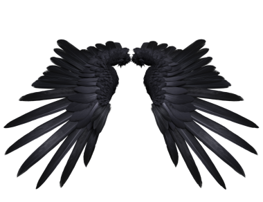  Saydam arkaplanda izole edilmiş, kuzgun tüylerine benzeyen 3 boyutlu kara kanatlar.