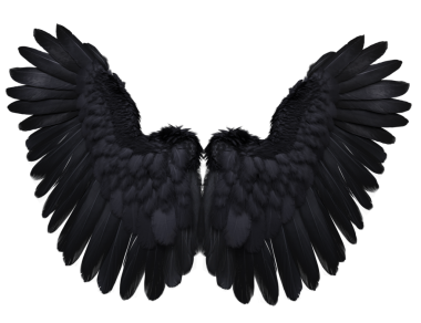  Saydam arkaplanda izole edilmiş, kuzgun tüylerine benzeyen 3 boyutlu kara kanatlar.