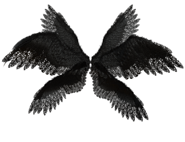 Şeffaf arka planda izole siyah dantel tüyleri içeren 3 boyutlu melek kanadı