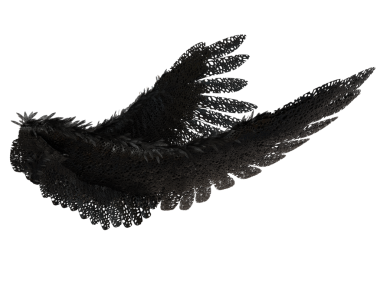 Şeffaf arka planda izole siyah dantel tüyleri içeren 3 boyutlu melek kanadı