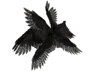 Şeffaf arka planda izole siyah dantel tüyleri içeren 3 boyutlu melek kanadı
