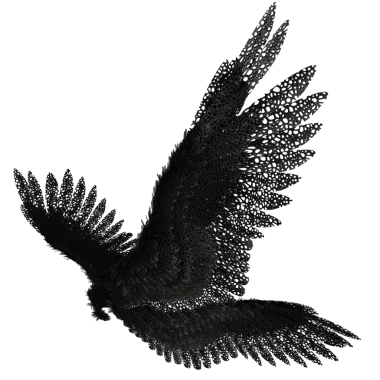 Şeffaf arka planda izole siyah dantel tüyleri içeren 3 boyutlu melek kanadı