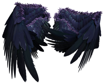 Şeffaf arkaplanda izole edilmiş 3D koyu mor kanatlar