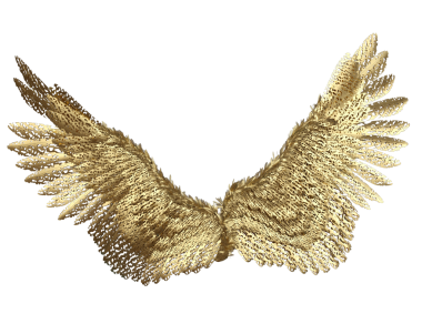 Şeffaf arka planda izole edilmiş, fantezi altın kanatlardan oluşan 3 boyutlu bir kaplama.