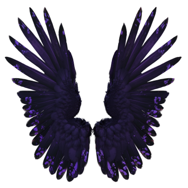 Siyah ve menekşe tüylü koyu renkli yanardöner kanatların şeffaf arkaplanda izole edilmiş üç boyutlu çizimi