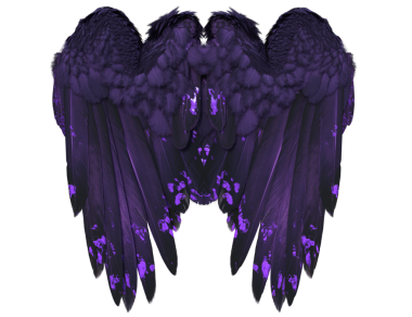 Siyah ve menekşe tüylü koyu renkli yanardöner kanatların şeffaf arkaplanda izole edilmiş üç boyutlu çizimi