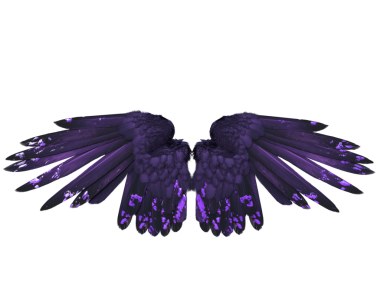 Siyah ve menekşe tüylü koyu renkli yanardöner kanatların şeffaf arkaplanda izole edilmiş üç boyutlu çizimi