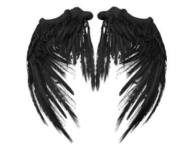 Üç boyutlu, şeffaf arka planda izole edilmiş gotik ve dramatik bir yeteneğe sahip esmer yırtık kanatların çizimi.
