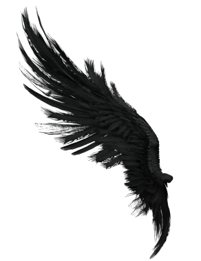 Üç boyutlu, şeffaf arka planda izole edilmiş gotik ve dramatik bir yeteneğe sahip esmer yırtık kanatların çizimi.