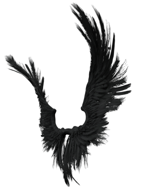 Üç boyutlu, şeffaf arka planda izole edilmiş gotik ve dramatik bir yeteneğe sahip esmer yırtık kanatların çizimi.