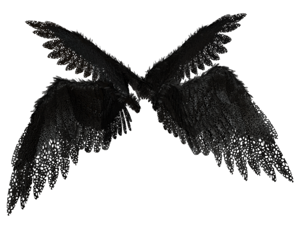 Şeffaf arka planda izole siyah dantel tüyleri içeren 3 boyutlu melek kanadı
