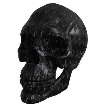 3D oluşturulmuş fantezi kafatası desteği şeffaf arkaplanda izole edildi