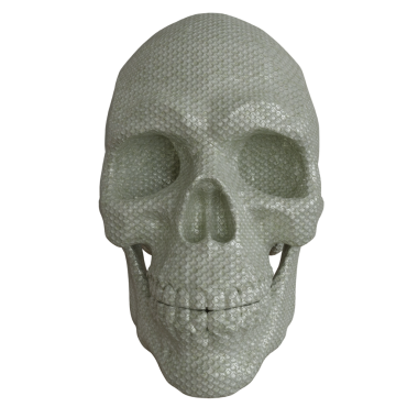 3D oluşturulmuş fantezi kafatası desteği şeffaf arkaplanda izole edildi