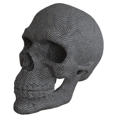 3D oluşturulmuş fantezi kafatası desteği şeffaf arkaplanda izole edildi