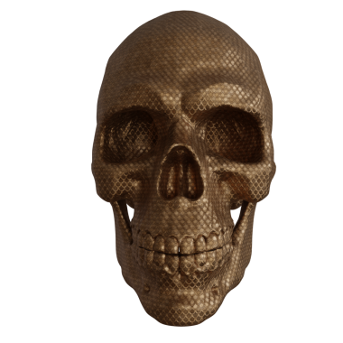 3D oluşturulmuş fantezi kafatası desteği şeffaf arkaplanda izole edildi