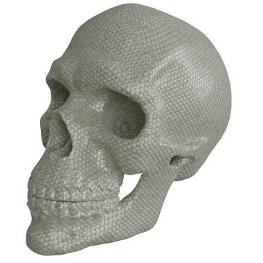 3D oluşturulmuş fantezi kafatası desteği şeffaf arkaplanda izole edildi