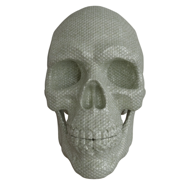 3D oluşturulmuş fantezi kafatası desteği şeffaf arkaplanda izole edildi