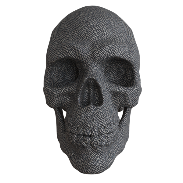 3D oluşturulmuş fantezi kafatası desteği şeffaf arkaplanda izole edildi