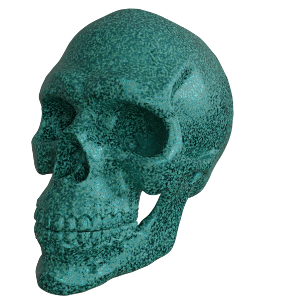 3D oluşturulmuş fantezi kafatası desteği şeffaf arkaplanda izole edildi