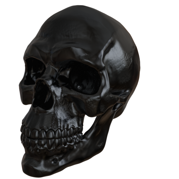 3D oluşturulmuş fantezi kafatası desteği şeffaf arkaplanda izole edildi