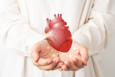 Dünya kalp günü. Doktor elleri sağlıklı kalp organı anatomisini tutuyor. Kalp hastalığı bilinci, kalp nakli veya organ bağışı konsepti. Kardiyolojik kontrol ve tedavi.