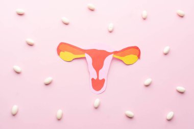 Uterus and vagina anatomy made from paper with white pills on pink background. Treatment of vaginal infections from candidiasis, sexually transmitted infections. Gynecology concept.