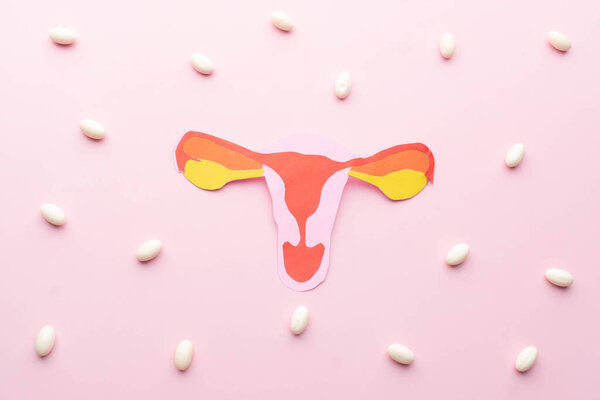 Uterus and vagina anatomy made from paper with white pills on pink background. Treatment of vaginal infections from candidiasis, sexually transmitted infections. Gynecology concept.