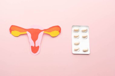 Uterus and vagina anatomy with white pills package on pink background. Treatment of vaginal infections from candidiasis, sexually transmitted infections. Gynecology concept.