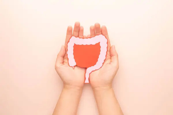 Hand holding large intestine organ made form paper on beige background. Concept of healthy bowel digestion, colon cancer screening, intestinal disease treatment or colorectal cancer awareness.