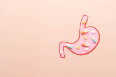 Kağıttan yapılmış bir mide organı ve bej renkli arka planda ilaç hapları. Probiyotikler, uyuşturucu metabolizması ve gastrointestinal tedavi kavramı için yaratıcı fikirler.