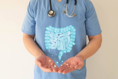 Healthy intestine anatomy on doctor hands. Concept of healthy bowel digestion, colon cancer screening, intestinal disease treatment or colorectal cancer awareness.