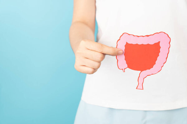 Woman hand holding intestine organ shape made form paper on blue background. Concept of healthy bowel digestion, colon cancer screening, intestinal disease treatment or colorectal cancer awareness.