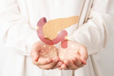 Doktor ellerinde pankreas organ anatomisi. Pankreas iltihabı ve pankreas kanseri kavramı.