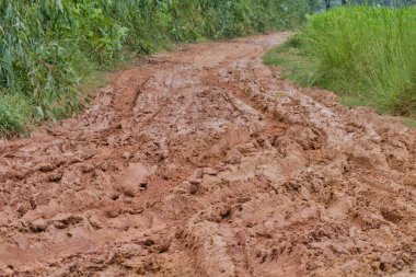 Toprakta tekerlek izleri var. Kır yolu Doğal Sabah manzarası