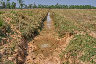 Sulama Kanalı Kurutucu Tarım