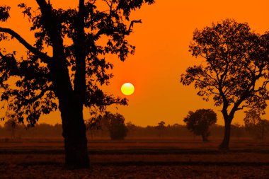 Gün batımı, gün doğumu gökyüzü sabah aydınlık, güzel yaz